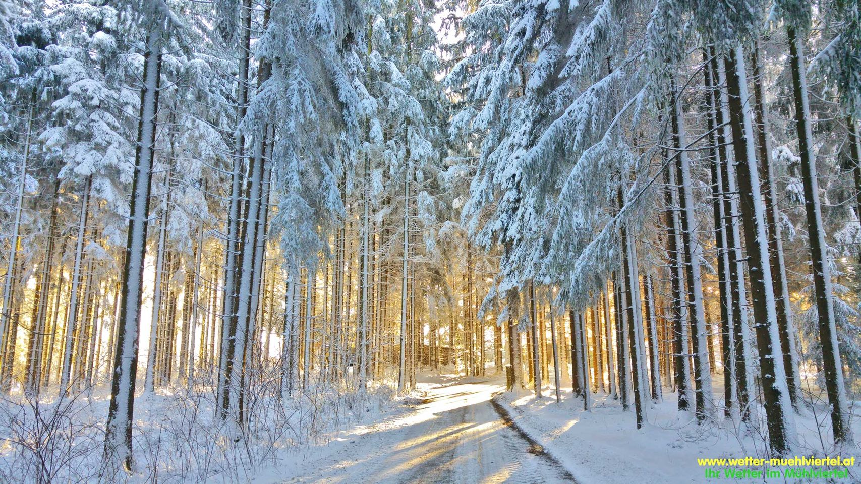 Winterfoto
