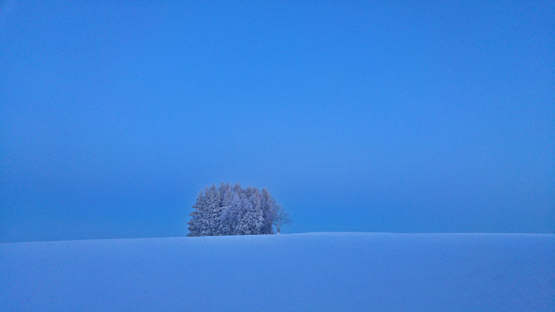 Winterfoto