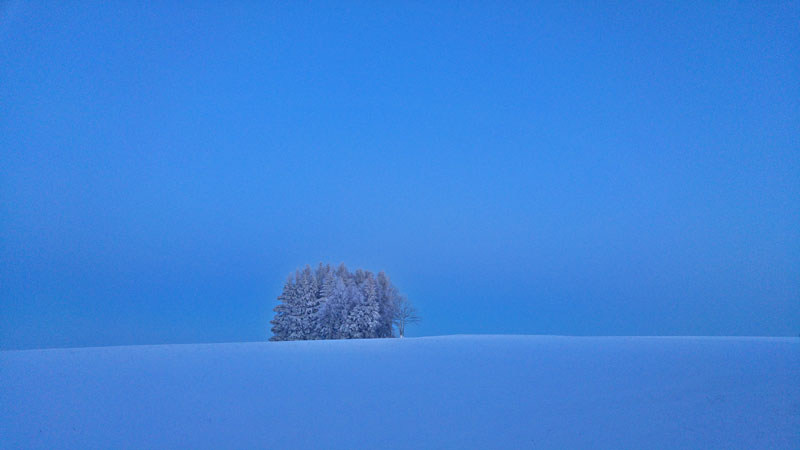 Winterfoto