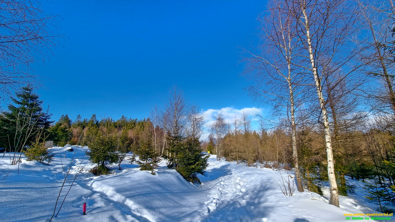 Winterfoto