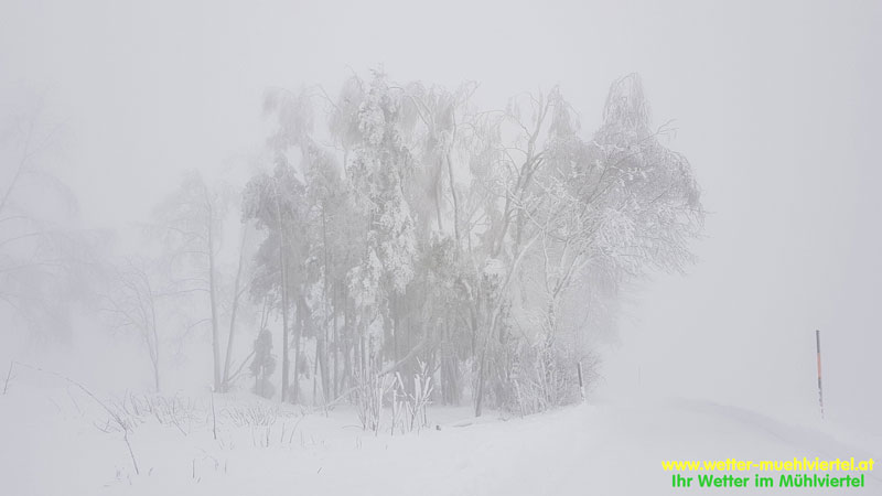 Winterfoto