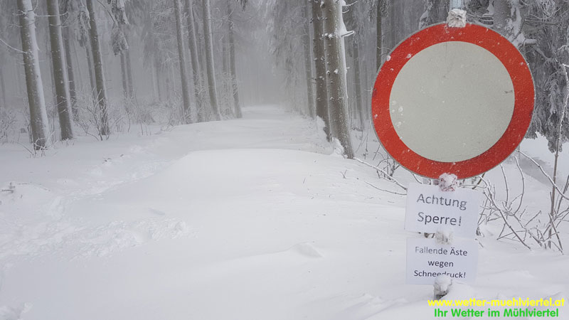 Winterfoto