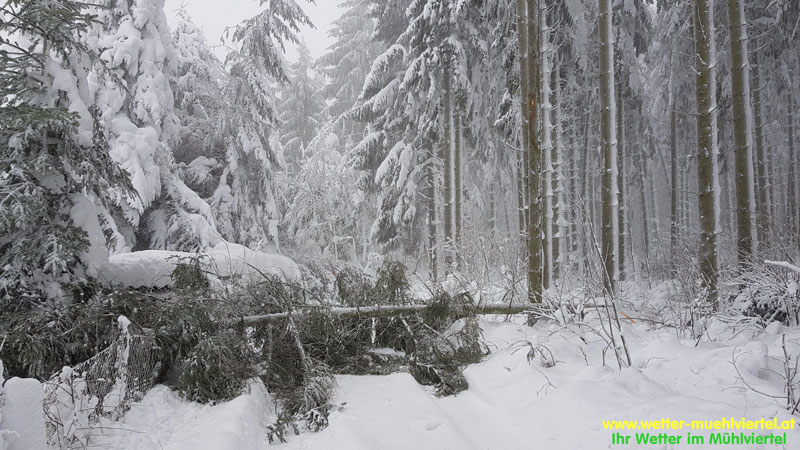 Winterfoto