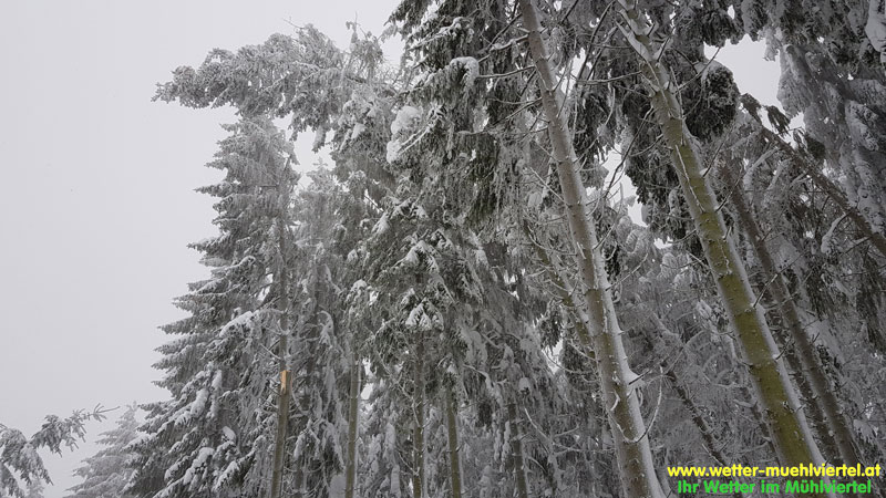 Winterfoto