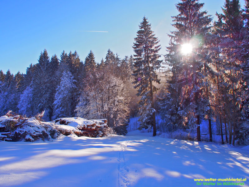 Winterfoto