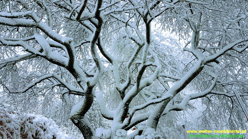 Winterfoto