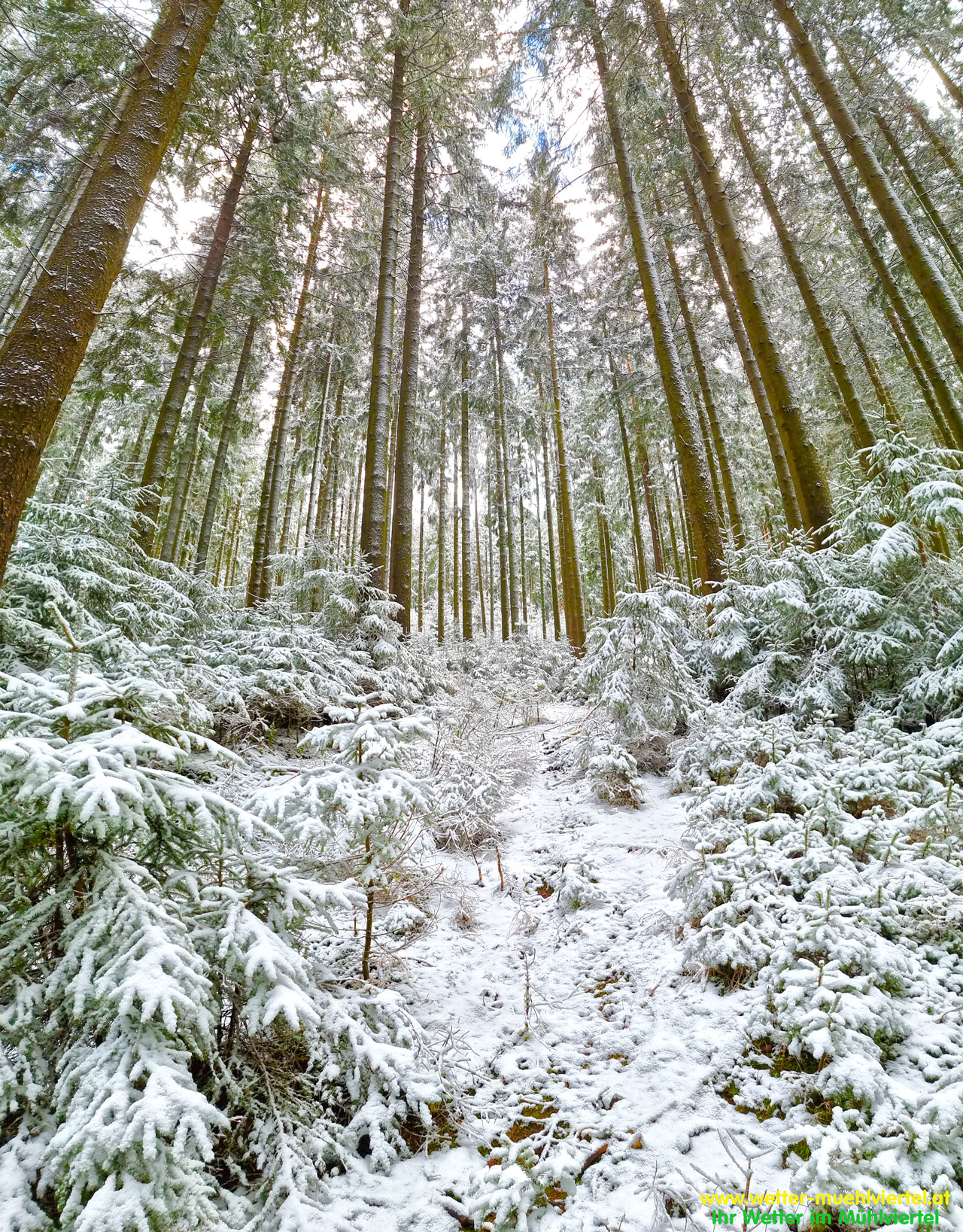 Winterfoto