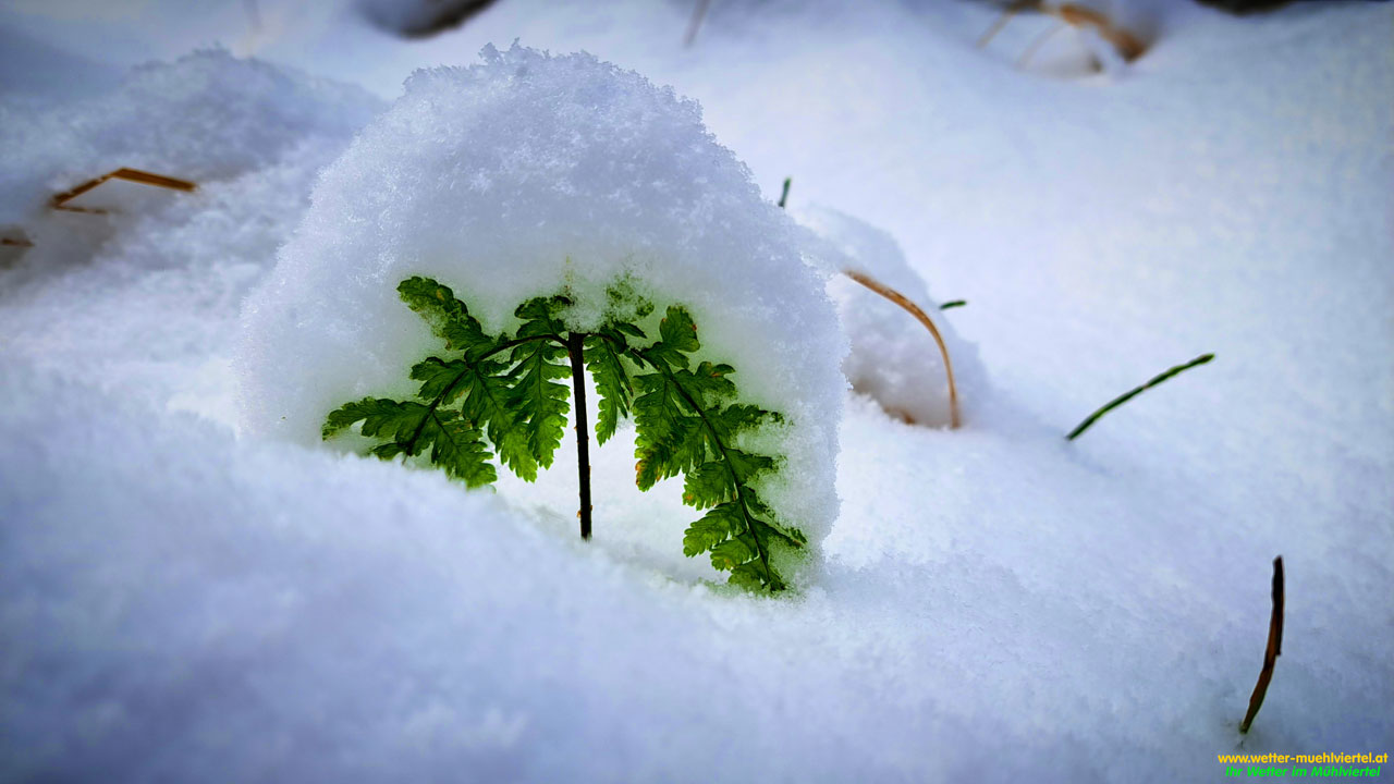 Winterfoto