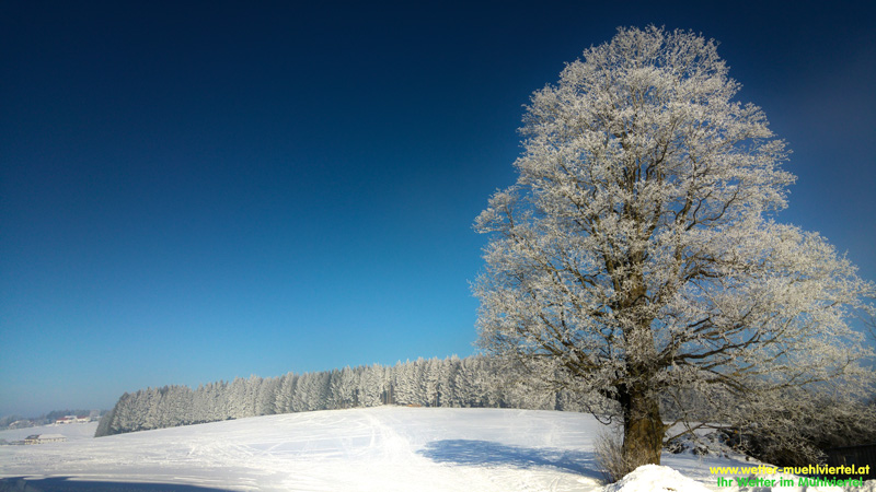Winterfoto