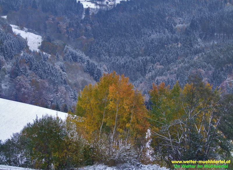 Winterfoto