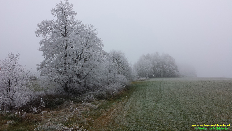 Winterfoto