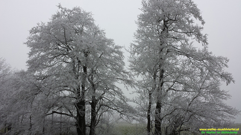 Winterfoto