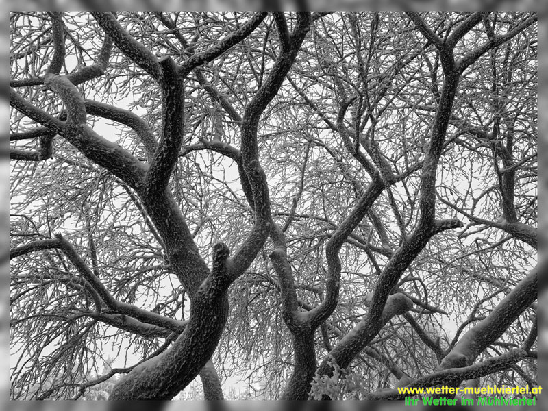 Winterfoto