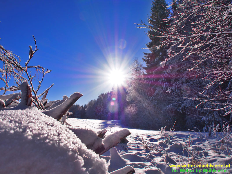 Winterfoto