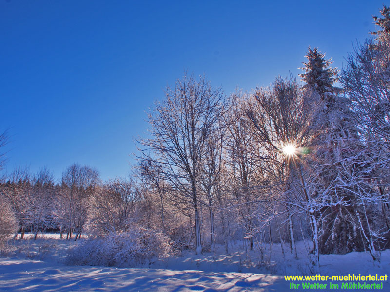 Winterfoto