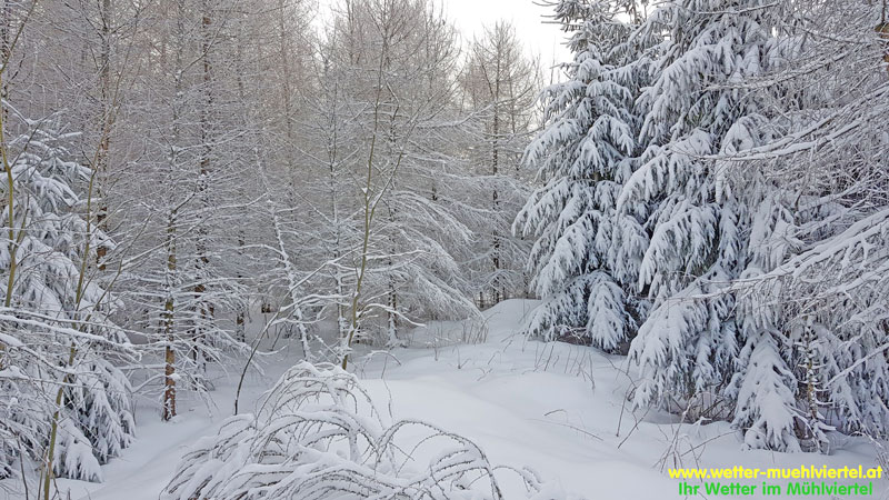 Winterfoto