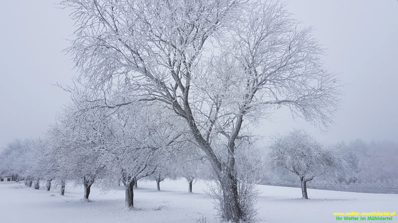 Winterfoto