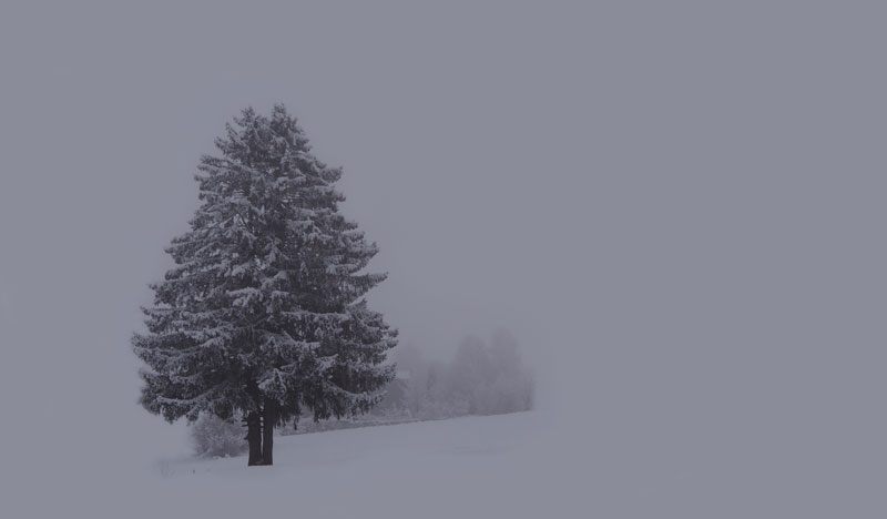Winterfoto