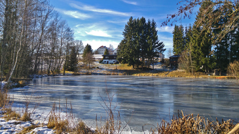 Winterfoto