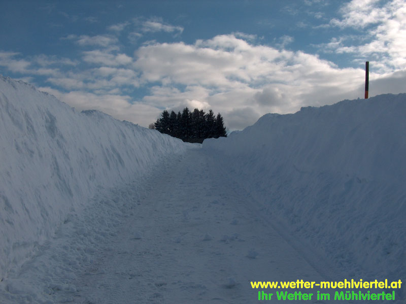 Winterfoto